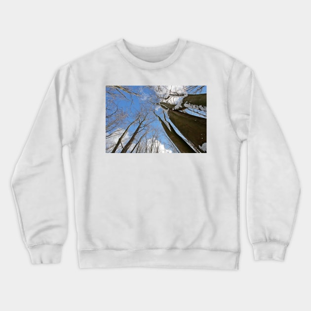 Trees Crewneck Sweatshirt by ikshvaku